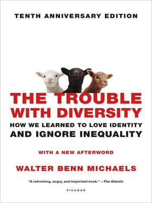 cover image of The Trouble with Diversity
